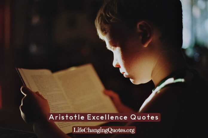Aristotle Excellence Quotes